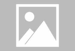 快递行业专用套打软件介绍与实战指南