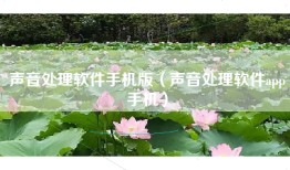 声音处理软件手机版（声音处理软件app手机）
