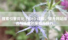 搜索引擎优化（SEO）详解，提升网站排名与流量的策略与技巧