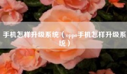 手机怎样升级系统（oppo手机怎样升级系统）
