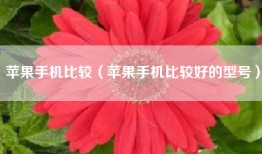 苹果手机比较（苹果手机比较好的型号）