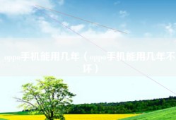 oppo手机能用几年（oppo手机能用几年不坏）