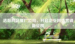 洛阳网站推广公司，开启企业网络营销新征程
