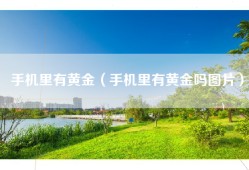 手机里有黄金（手机里有黄金吗图片）