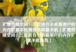 扩增存储空间：三款适合小屏幕用户的内存扩展手机推荐小屏幕手机「扩增存储空间：三款适合小屏幕用户的内存扩展手机推荐」