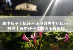 高中孩子手机该不该没收高中可以带手机吗「高中孩子手机该不该没收」