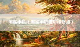 黑鲨手机（黑鲨手机售后维修点）