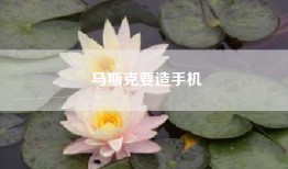 马斯克要造手机