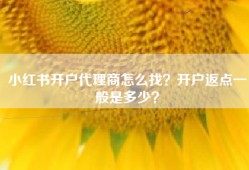 小红书开户代理商怎么找？开户返点一般是多少？