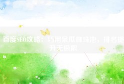 百度SEO攻略：巧用呆瓜蜘蛛池，排名提升无极限