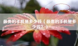 最贵的手机是多少钱（最贵的手机是多少钱？）
