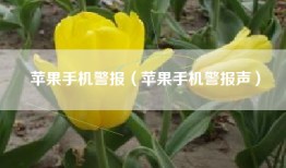 苹果手机警报（苹果手机警报声）