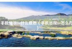 手机显示lte什么意思（手机出现lte怎么办）