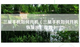 三星手机如何开机（三星手机如何开机恢复出厂设置）