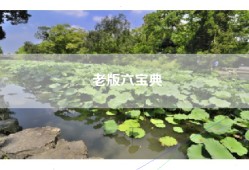 老版六宝典