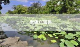 老版六宝典