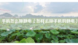 手机怎么除静电（怎样去除手机的静电）