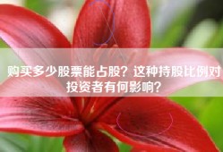 购买多少股票能占股？这种持股比例对投资者有何影响？