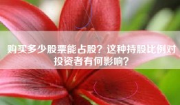 购买多少股票能占股？这种持股比例对投资者有何影响？