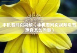 手机看网页视频（手机看网页视频没有声音怎么回事）