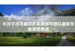 石河子市发展和改革局领导团队最新发展策略概述