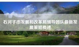 石河子市发展和改革局领导团队最新发展策略概述