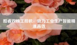 酷睿双核工控机，助力工业生产智能精准高效
