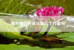 海外推广方案从哪几个方面写
