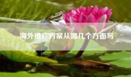 海外推广方案从哪几个方面写