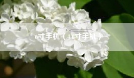 6寸手机（4.6寸手机）