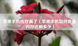 苹果手机内存满了（苹果手机如何查看内存还剩多少）