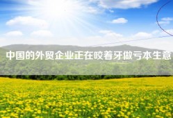 中国的外贸企业正在咬着牙做亏本生意