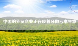 中国的外贸企业正在咬着牙做亏本生意