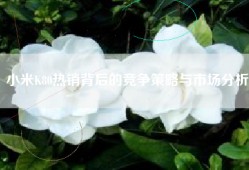 小米K80热销背后的竞争策略与市场分析