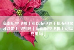 海南航空飞机上可以充电吗手机充电器可以带上飞机吗「海南航空飞机上可以充电吗」