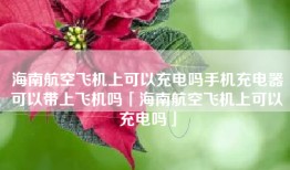 海南航空飞机上可以充电吗手机充电器可以带上飞机吗「海南航空飞机上可以充电吗」