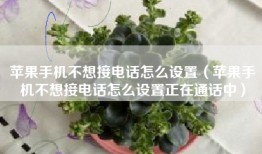 苹果手机不想接电话怎么设置（苹果手机不想接电话怎么设置正在通话中）