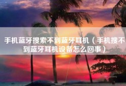 手机蓝牙搜索不到蓝牙耳机（手机搜不到蓝牙耳机设备怎么回事）