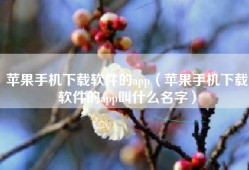 苹果手机下载软件的app（苹果手机下载软件的app叫什么名字）