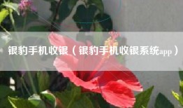 银豹手机收银（银豹手机收银系统app）