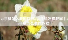 op手机怎么截图教程oppo手机怎样截屏「op手机怎么截图教程」