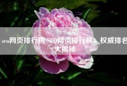 seo网页排行榜 SEO网页排行榜：权威排名大揭秘