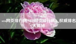 seo网页排行榜 SEO网页排行榜：权威排名大揭秘