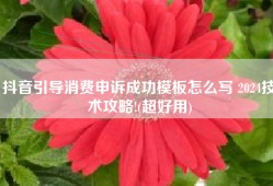 抖音引导消费申诉成功模板怎么写 2024技术攻略!(超好用)