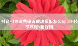 抖音引导消费申诉成功模板怎么写 2024技术攻略!(超好用)