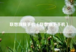 联想旗舰手机（联想旗下手机）