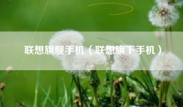 联想旗舰手机（联想旗下手机）