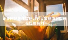 企业网站优化攻略，五大策略助您提升在线影响力