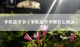手机蓝牙卡（手机蓝牙卡顿怎么解决）