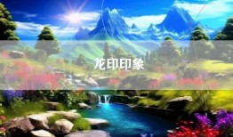 龙印印象
